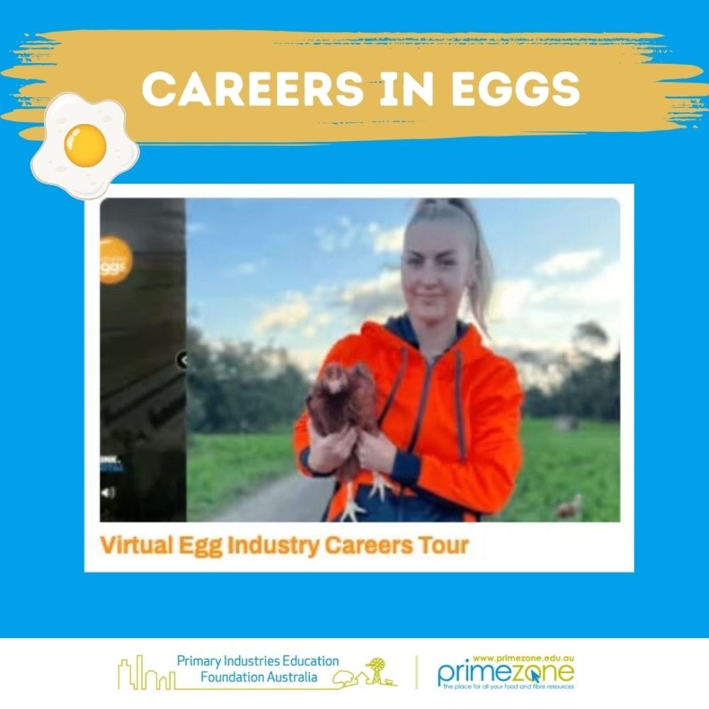 Eggs careers